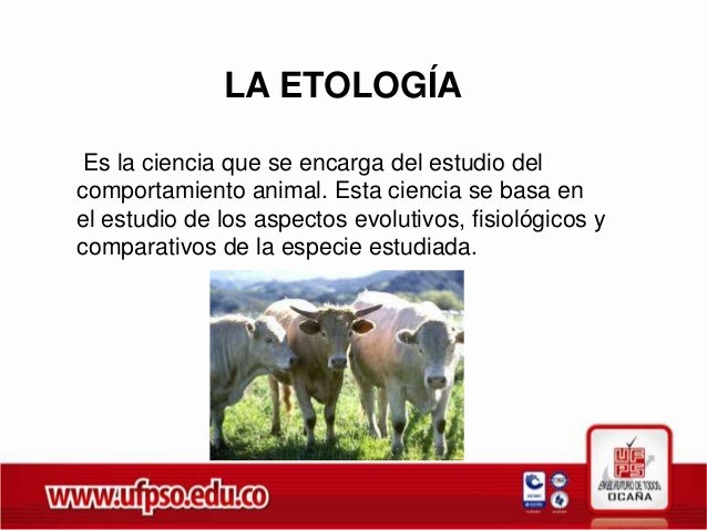 Seminario etologia y comportamiento en la raza bon
