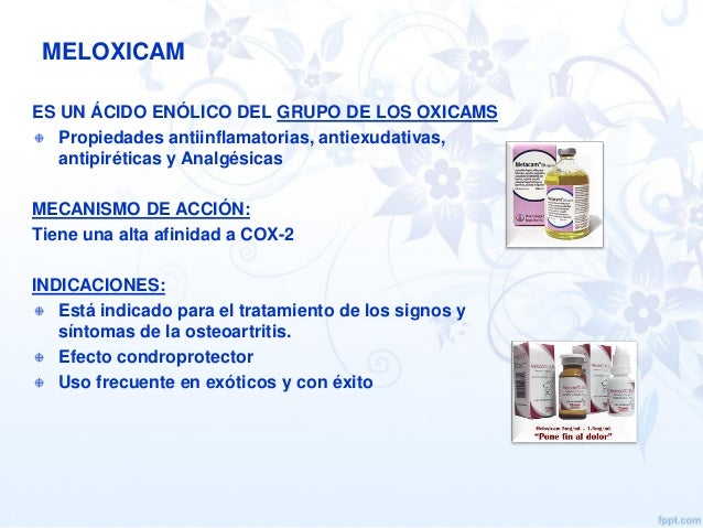 Cuanto dura el efecto del meloxicam Cuanto dura el efecto del meloxicam