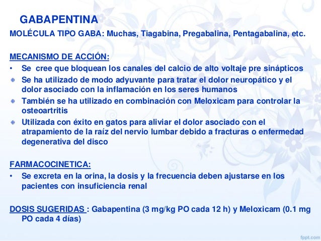 para que sirve las pastillas gabapentin
