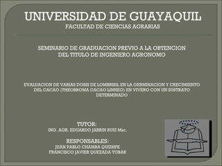 UNIVERSIDAD DE GUAYAQUIL FACULTAD DE CIENCIAS AGRARIAS SEMINARIO DE GRADUACION PREVIO A LA OBTENCION DEL TITULO DE INGENIERO AGRONOMO EVALUACION DE VARIAS DOSIS DE LOMBRISIL EN LA GERMINACION Y CRECIMIENTO DEL CACAO (THEOBROMA CACAO LINNEO) EN VIVERO CON UN SUSTRATO DETERMINADO TUTOR:  ING. AGR. EDUARDO JARRIN RUIZ Msc. RESPONSABLES: JUAN PABLO CHAMBA QUIZHPE FRANCISCO JAVIER QUEZADA TOBAR 