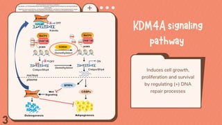 KDM4Asignaling
pathway
Induces cell growth,
proliferation and survival
by regulating (+) DNA
repair processes
3
3
3
HTTPS:...