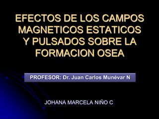 EFECTOS DE LOS CAMPOS
MAGNETICOS ESTATICOS
 Y PULSADOS SOBRE LA
   FORMACION OSEA

  PROFESOR: Dr. Juan Carlos Munévar N



       JOHANA MARCELA NIÑO C
 
