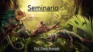 Seminario
Prof: Paulo Alvarado
 