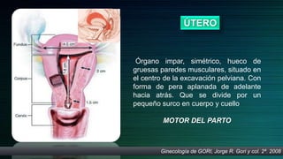 ÚTERO


 Órgano impar, simétrico, hueco de
gruesas paredes musculares, situado en
el centro de la excavación pelviana. Con
forma de pera aplanada de adelante
hacia atrás. Que se divide por un
pequeño surco en cuerpo y cuello

         MOTOR DEL PARTO



        Ginecología de GORI, Jorge R. Gori y col. 2ª. 2008
 