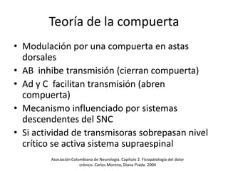SEMINARIO Fisiopatología del dolor | PPTX