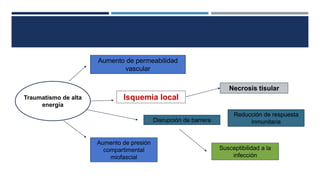Isquemia local 
Necrosis tisular 
Susceptibilidad a la 
infección 
Aumento de presión 
compartimental 
miofascial 
Reducción de respuesta 
inmunitaria 
Aumento de permeabilidad 
vascular 
Traumatismo de alta 
energía 
Disrupción de barrera 
 