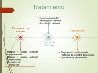 Tratamiento
Tratamiento no
invasivo
- Raspaje y alisado radicular
campo cerrado
- Raspaje y alisado radicular
campo abierto
- Plastia furcal
- Tunelización
Tratamiento
resectivo
- Resección radicular
- Hemisección radicular
- Amputación radicular
Regeneración
- Regeneración tisular guiada
- Proteínas de la matriz del esmalte
- Concentrados plaquetarios
 