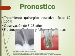 Pronostico
• Tratamiento quirúrgico resectivo: éxito 62-
100%
• Observación de 5-13 años
• Fracturas radiculares y fallos endodónticos
Lindhe, J., Karring, T., & Lang, N. P. (2009). Periodontologia clinica e implantologia
odontologica/Clinical Periodontology and Implant Dentistry (Vol. 1). Ed. Médica Panamericana.
http://bit.ly/2QyxtRD http://bit.ly/2pdGdA0
 