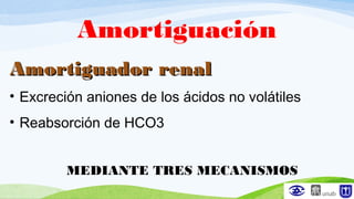 Amortiguación
Amortiguador renalAmortiguador renal
• Excreción aniones de los ácidos no volátiles
• Reabsorción de HCO3
MEDIANTE TRES MECANISMOS
 