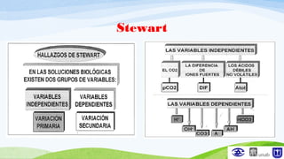 Stewart
 