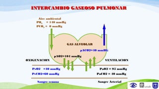 INTERCAMBIO GASEOSO PULMONARINTERCAMBIO GASEOSO PULMONAR
PvO2 =40 mmHg
PvCO2=60 mmHg
Sangre venosa
PaO2 = 95 mmHg
PaCO2 = 40 mmHg
Sangre Arterial
GAS ALVEOLARGAS ALVEOLAR
pAO2=104 mmHg
pACO2=40 mmHG
OXIGENACION VENTILACION
Aire ambiental
PO2 = 140 mmHg
PCO2 = 0 mmHg
 