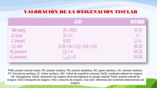 VALORACIÓN DE LA OXIGENACIÓN TISULAR
PAM: presión arterial media. PS: presión sistólica. PD: presión diastólica. GC: gasto cardíaco. VS: volumen sistólico.
FC: frecuencia cardíaca. IC: índice cardíaco. ISC: índice de superficie corporal. CaO2: contenido arterial de oxígeno.
Hb: hemoglobina. SaO2: saturación de oxígeno de la hemoglobina en sangre arterial. PaO2: presión arterial de
oxígeno. DO2: transporte de oxígeno. VO2: consumo de oxígeno. C(a-v)O2: diferencia del contenido arteriovenoso de
oxígeno.
 