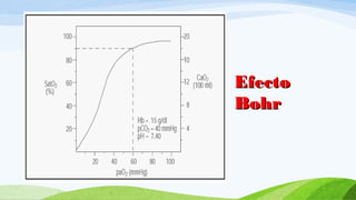 EfectoEfecto
BohrBohr
 