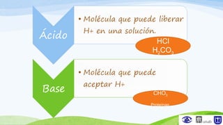 HCl
H2CO3
CHO3
Proteínas
 