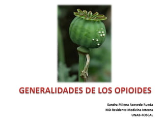 Sandra Milena Acevedo Rueda
MD Residente Medicina Interna
UNAB-FOSCAL

 