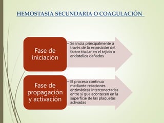 • Se inicia principalmente a
través de la exposición del
factor tisular en el tejido o
endotelios dañados
Fase de
iniciación
• El proceso continua
mediante reacciones
enzimáticas interconectadas
entre si que acontecen en la
superficie de las plaquetas
activadas
Fase de
propagación
y activación
HEMOSTASIA SECUNDARIA O COAGULACIÓN
 