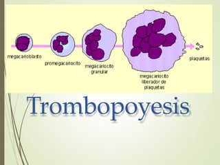 Trombopoyesis
 