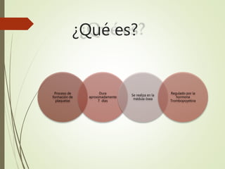¿Qué es?
Proceso de
formación de
plaquetas
Dura
aproximadamente
7 días
Se realiza en la
médula ósea
Regulado por la
hormona
Trombopoyetina
 