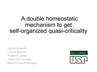 A double homeostatic
mechanism to get
self-organized quasi-criticality
Osame Kinouchi
Ludmila Brochini
Ariadne A. Costa
Tawan T. A. Carvalho
Maurício Girardi-Schappo
 