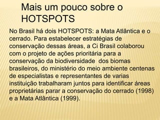 Mais um pouco sobre o 
HOTSPOTS 
No Brasil há dois HOTSPOTS: a Mata Atlântica e o 
cerrado. Para estabelecer estratégias de 
conservação dessas áreas, a Ci Brasil colaborou 
com o projeto de ações prioritária para a 
conservação da biodiversidade dos biomas 
brasileiros, do ministério do meio ambiente centenas 
de especialistas e representantes de varias 
instituição trabalharam juntos para identificar áreas 
proprietárias parar a conservação do cerrado (1998) 
e a Mata Atlântica (1999). 
 