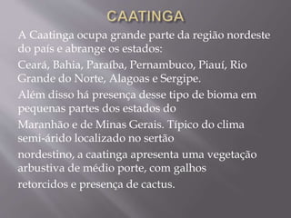 A Caatinga ocupa grande parte da região nordeste 
do país e abrange os estados: 
Ceará, Bahia, Paraíba, Pernambuco, Piauí, Rio 
Grande do Norte, Alagoas e Sergipe. 
Além disso há presença desse tipo de bioma em 
pequenas partes dos estados do 
Maranhão e de Minas Gerais. Típico do clima 
semi-árido localizado no sertão 
nordestino, a caatinga apresenta uma vegetação 
arbustiva de médio porte, com galhos 
retorcidos e presença de cactus. 
 