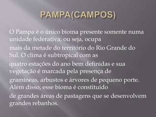 O Pampa é o único bioma presente somente numa 
unidade federativa, ou seja, ocupa 
mais da metade do território do Rio Grande do 
Sul. O clima é subtropical com as 
quatro estações do ano bem definidas e sua 
vegetação é marcada pela presença de 
gramíneas, arbustos e árvores de pequeno porte. 
Além disso, esse bioma é constituído 
de grandes áreas de pastagens que se desenvolvem 
grandes rebanhos. 
 