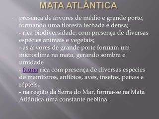 - presença de árvores de médio e grande porte, 
formando uma floresta fechada e densa; 
- rica biodiversidade, com presença de diversas 
espécies animais e vegetais; 
- as árvores de grande porte formam um 
microclima na mata, gerando sombra e 
umidade 
- fauna rica com presença de diversas espécies 
de mamíferos, anfíbios, aves, insetos, peixes e 
répteis. 
- na região da Serra do Mar, forma-se na Mata 
Atlântica uma constante neblina. 
 