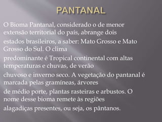 O Bioma Pantanal, considerado o de menor 
extensão territorial do país, abrange dois 
estados brasileiros, a saber: Mato Grosso e Mato 
Grosso do Sul. O clima 
predominante é Tropical continental com altas 
temperaturas e chuvas, de verão 
chuvoso e inverno seco. A vegetação do pantanal é 
marcada pelas gramíneas, árvores 
de médio porte, plantas rasteiras e arbustos. O 
nome desse bioma remete às regiões 
alagadiças presentes, ou seja, os pântanos. 
 