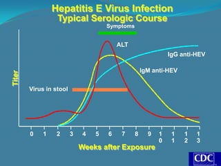 Hepatitis E Virus Infection
                  Typical Serologic Course
                                      Symptoms


                                          ALT
                                                               IgG anti-HEV

                                                     IgM anti-HEV
Titer




        Virus in stool




        0    1    2      3    4   5   6    7     8     9   1    1   1   1
                                                           0    1   2   3
                             Weeks after Exposure
 