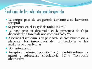 Sindrome de Transfusión gemelo-gemelo
 La sangre pasa de un gemelo donante a su hermano
receptor
 Se presenta en el 10-15% de todos los MC
 La base para su desarrollo es la presencia de flujo
discordante a través de anastomosis AV y VA
 Asociada discordancia de peso fetal, el crecimiento de la
placenta, las inserciones de los cordones o las
malformaciones fetales
 Donante: pálido
 Receptor: pletórico: policitemia ( hiperbilirrubinemia
grave) , sobrecarga circulatoria: IC y Trombosis
obstructiva
 