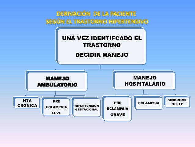 Embarazo El Por Inducida Hipertensión A