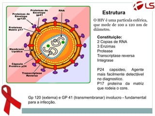 Constituição:
2 Copias de RNA
3 Enzimas
Protease
Transcriptase reversa
Integrase
P24 capsideo, Agente
mais facilmente detectável
no diagnostico.
P17 proteína da matriz
que rodeia o core.
Gp 120 (externa) e GP 41 (transmembranar) involucro - fundamental
para a infecção.
Estrutura
O HIV é uma partícula esférica,
que mede de 100 a 120 nm de
diâmetro.
 