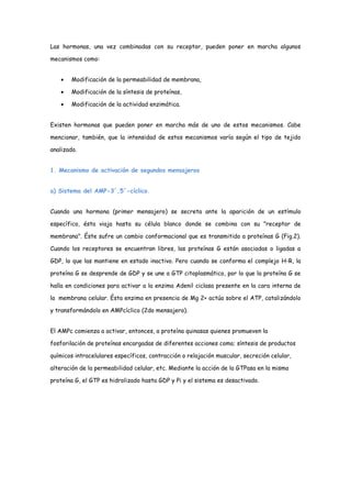 Las hormonas, una vez combinadas con su receptor, pueden poner en marcha algunos
mecanismos como:
• Modificación de la permeabilidad de membrana,
• Modificación de la síntesis de proteínas,
• Modificación de la actividad enzimática.
Existen hormonas que pueden poner en marcha más de uno de estos mecanismos. Cabe
mencionar, también, que la intensidad de estos mecanismos varía según el tipo de tejido
analizado.
1. Mecanismo de activación de segundos mensajeros
a) Sistema del AMP-3´,5´-cíclico.
Cuando una hormona (primer mensajero) se secreta ante la aparición de un estímulo
específico, ésta viaja hasta su célula blanco donde se combina con su "receptor de
membrana". Éste sufre un cambio conformacional que es transmitido a proteínas G (Fig.2).
Cuando los receptores se encuentran libres, las proteínas G están asociadas o ligadas a
GDP, lo que las mantiene en estado inactivo. Pero cuando se conforma el complejo H-R, la
proteína G se desprende de GDP y se une a GTP citoplasmático, por lo que la proteína G se
halla en condiciones para activar a la enzima Adenil ciclasa presente en la cara interna de
la membrana celular. Ésta enzima en presencia de Mg 2+ actúa sobre el ATP, catalizándolo
y transformándolo en AMPcíclico (2do mensajero).
El AMPc comienza a activar, entonces, a proteína quinasas quienes promueven la
fosforilación de proteínas encargadas de diferentes acciones como; síntesis de productos
químicos intracelulares específicos, contracción o relajación muscular, secreción celular,
alteración de la permeabilidad celular, etc. Mediante la acción de la GTPasa en la misma
proteína G, el GTP es hidrolizado hasta GDP y Pi y el sistema es desactivado.
 