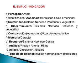 VI: factores económicos y culturales.