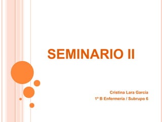 SEMINARIO II

             Cristina Lara García
      1º B Enfermería / Subrupo 6
 