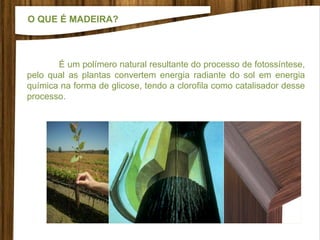 O QUE É MADEIRA?
É um polímero natural resultante do processo de fotossíntese,
pelo qual as plantas convertem energia radiante do sol em energia
química na forma de glicose, tendo a clorofila como catalisador desse
processo.
 