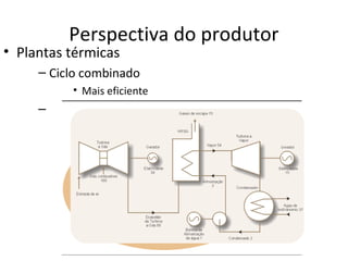 Perspectiva do produtor
• Plantas térmicas
     – Ciclo combinado
          • Mais eficiente
     –




                              29
 