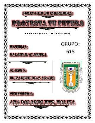 REPORTE (calculo / algebra)
 