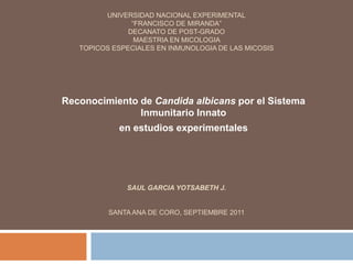 UNIVERSIDAD NACIONAL EXPERIMENTAL
“FRANCISCO DE MIRANDA”
DECANATO DE POST-GRADO
MAESTRIA EN MICOLOGIA
TOPICOS ESPECIALES EN INMUNOLOGIA DE LAS MICOSIS
SAUL GARCIA YOTSABETH J.
SANTA ANA DE CORO, SEPTIEMBRE 2011
Reconocimiento de Candida albicans por el Sistema
Inmunitario Innato
en estudios experimentales
 