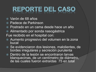  Varón de 68 años 
 Padece de Parkinson 
 Postrado en un cama desde hace un año 
 Alimentado por sonda nasogástrica 
Fue recibido en el hospital con: 
 Aumento progresivo del volumen en la zona 
bucal 
 Se evidenciaron dos lesiones, malolientes, de 
bordes irregulares y secreción purulenta 
 Dentro de la lesión se encontraron larvas 
blanquecinas, de un centímetro de diámetro, 
de las cuales fueron extraídas 75 en total 
 
