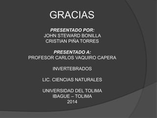 GRACIAS 
PRESENTADO POR: 
JOHN STEWARD BONILLA 
CRISTIAN PIÑA TORRES 
PRESENTADO A: 
PROFESOR CARLOS VAQUIRO CAPERA 
INVERTEBRADOS 
LIC. CIENCIAS NATURALES 
UNIVERSIDAD DEL TOLIMA 
IBAGUE – TOLIMA 
2014 
