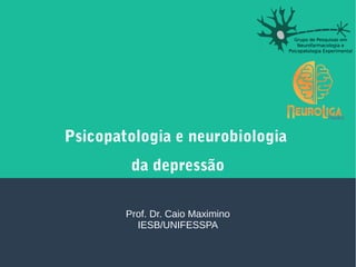 Psicopatologia e neurobiologia
da depressão
Prof. Dr. Caio Maximino
IESB/UNIFESSPA
 
