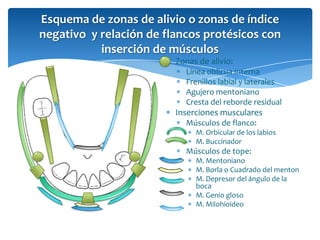 Esquema de zonas de alivio o zonas de índice
negativo y relación de flancos protésicos con
inserción de músculos
Zonas de alivio:
Línea oblicua interna
Frenillos labial y laterales
Agujero mentoniano
Cresta del reborde residual
Inserciones musculares
Músculos de flanco:
M. Orbicular de los labios
M. Buccinador
Músculos de tope:
M. Mentoniano
M. Borla o Cuadrado del menton
M. Depresor del ángulo de la
boca
M. Genio gloso
M. Milohioideo
 