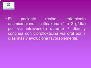 • El paciente recibe tratamiento 
antimicrobiano: ceftriaxona (1 a 2 g/día) 
por vía intravenosa durante 7 días y 
continúa con ciprofloxacina vía oral por 7 
días más y evoluciona favorablemente. 
 