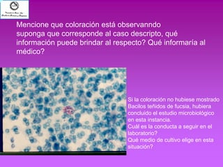 Mencione que coloración está observanndo 
suponga que corresponde al caso descripto, qué 
información puede brindar al respecto? Qué informaría al 
médico? 
Si la coloración no hubiese mostrado 
Bacilos teñidos de fucsia, hubiera 
concluido el estudio microbiológico 
en esta instancia. 
Cuál es la conducta a seguir en el 
laboratorio? 
Qué medio de cultivo elige en esta 
situación? 
 