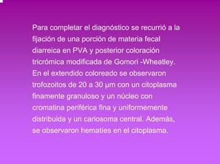 Para completar el diagnóstico se recurrió a la 
fijación de una porción de materia fecal 
diarreica en PVA y posterior coloración 
tricrómica modificada de Gomori -Wheatley. 
En el extendido coloreado se observaron 
trofozoitos de 20 a 30 μm con un citoplasma 
finamente granuloso y un núcleo con 
cromatina periférica fina y uniformemente 
distribuida y un cariosoma central. Además, 
se observaron hematíes en el citoplasma. 
 