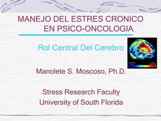 MANEJO DEL ESTRES CRONICO   	EN PSICO-ONCOLOGIA Rol Central Del Cerebro Manolete S. Moscoso, Ph.D. Stress Research Faculty University of South Florida 