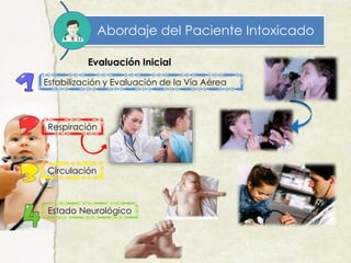 Abordaje del Paciente Intoxicado
Evaluación Inicial
Estabilización y Evaluación de la Vía Aérea
Respiración
Circulación
Estado Neurológico
 