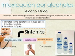 El etanol se absorbe rápidamente desde el estómago e intestinos de 30-40
minutos desde la ingestión
 El metabolismo del etanol se induce con la
ingestión repetida.
 Dosis letal  3g/kg
Síntomas
Depresión del SNC
Coma
Hipoglicemia Acidosis láctica
Convulsiones
Alcohol Etílico
 