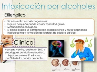 Etilenglicol
• Se encuentra en anticongelantes
• Ingesta pequeña puede causar toxicidad grave
• Metabolizado en hígado
• El ácido oxálico se combina con el calcio sérico y tisular originando
hipocalcemia y formación de cristales de oxalato cálcico.
Clínica
Nauseas, vomito, depresión SNC y
embriaguez, Acidosis metabólica,
hipocalcemia e IR, e incluso
parálisis de los nervios craneales.
 